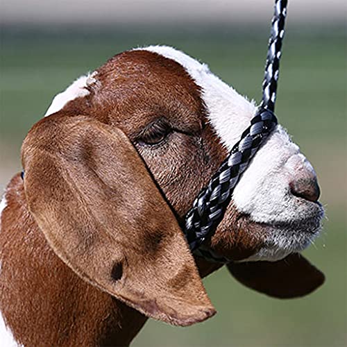 Sullivan's Soft Braid Sheep & Goat Halter - color: Chrome