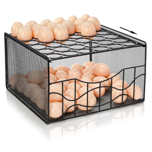 WRINGKIT Egg Basket for Gathering, 2 Tier Large Fresh Egg Collecting Holder with Slide Tray, Holds 36 + 100 Eggs, Metal Wire Farm Eggs Storage Rack for Countertop, Chicken Duck Easter EGG, Fruit