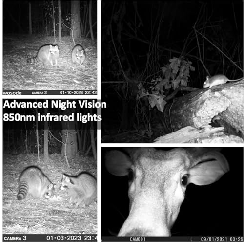 WOSODA 2 Pack Trail Cameras with Night Vision Motion Activated Waterproof,30MP Game Camera,1080P HD Trail Cam with SD Card for Wildlife Monitoring,Outdoor Scouting & Security(Non-WiFi) - color: 2Pack with Cards and Batteries