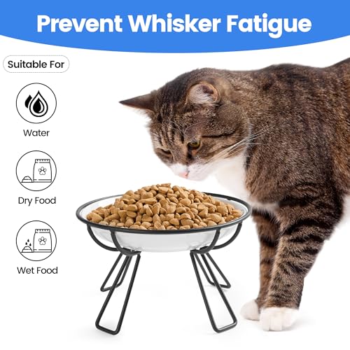 Ceramic Elevated Cat Bowls - Whisker Friendly, Anti-Vomiting, Stylish & Hygienic Cat Bowl Set (Line Cat, 2 Pack) - color: line cat, size: raised dish,2 pack
