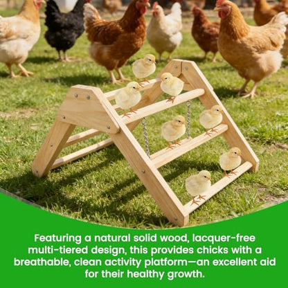 Chick Perch with Wooden Swing, Chick Roosting Bar Coop for Brooder, Chick Wooden Roosting Bar, Training Chicken Perch Fun Chicken Toys for Baby Chicks, Parakeets, Parrots