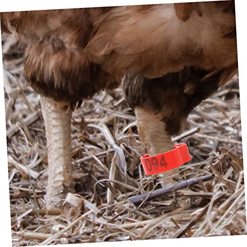 Yardwe 200pcs Chicken Leg Bands Poultry Leg Ring Bird Accessories Identification Rings for Chicks