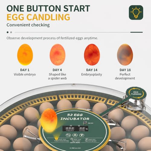 52 Egg Incubator with Automatic Egg Turning and Humidity Display, Incubators for Hatching Eggs, Chicken, Ducks, Goose, Pigeon, Quail, Parrot Incubator for Farm, Lab - size: 52-EGGS