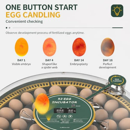 52 Egg Incubator with Automatic Egg Turning and Humidity Display, Incubators for Hatching Eggs, Chicken, Ducks, Goose, Pigeon, Quail, Parrot Incubator for Farm, Lab - size: 52-EGGS