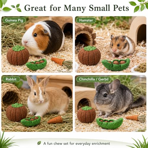 HERCOCCI 8Pcs Guinea Pig Chew Toys, Hamster Toys Prevent Excessive Teeth Growth Natural Vegetables Carrot and Timothy Grass for Guinea Pig Rabbit Chinchillas Gerbil