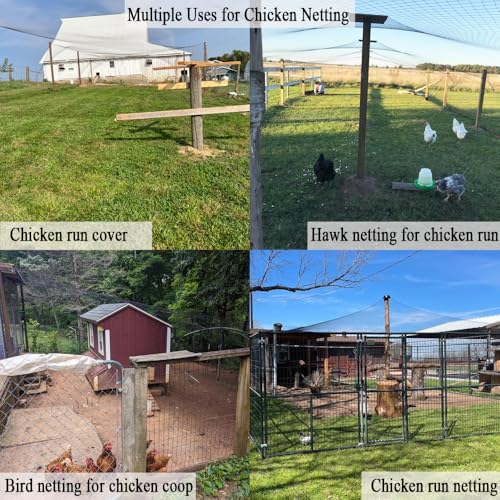 Bird Netting for Chicken Coop 100x100 FT, 1 in Mesh Chicken Run Netting Roof Cover Against Hawks, Eagles, Owls, Strong Woven Bird Netting for Garden, Fruit Tree, Plant, Vegetable Protection - size: 100X100 FT