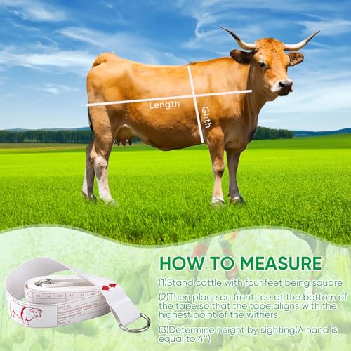 Konohan Cattle Measuring Tape for Height and Weight Multifunctional Cattle Weight Tape Portable PVC Weight Measure for Cows, 8.2 Feet Long - style: Cattle