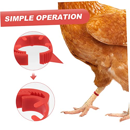 POPETPOP 100pcs Numbered Chicken Leg Rings Poultry Identification Bands for Chickens Ducks and Birds Sturdy Plastic Foot Rings Bright Colors for Easy Identification