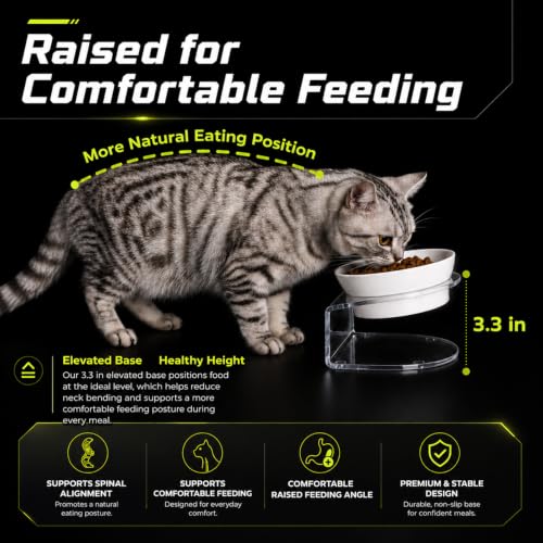 LivLab Mker Raised Cat Bowl, Elevated Cat Food Bowls with Stand - 15° Tilted Shallow Cat Dish for Whisker Fatigue Relief, 4.5" Height for Easy Feeding, Lead & Cadmium Free Melamine Bowl, White - color: White