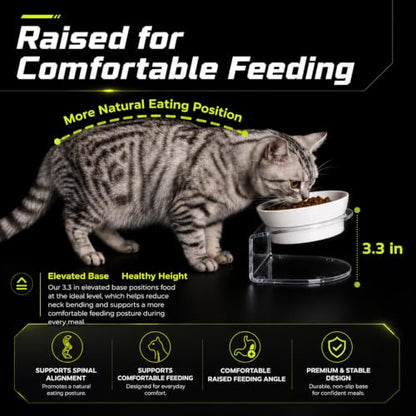 LivLab Mker Raised Cat Bowl, Elevated Cat Food Bowls with Stand - 15° Tilted Shallow Cat Dish for Whisker Fatigue Relief, 4.5" Height for Easy Feeding, Lead & Cadmium Free Melamine Bowl, White - color: White