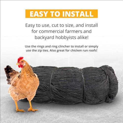 Stromberg's 1" Knotted Netting, Game Bird Netting, Heavy Duty, Chicken Coops, Gardening, UV-Resistant, 85 lb. Break Strength, 50'x100' - style: 1" Netting - 50' x 100'