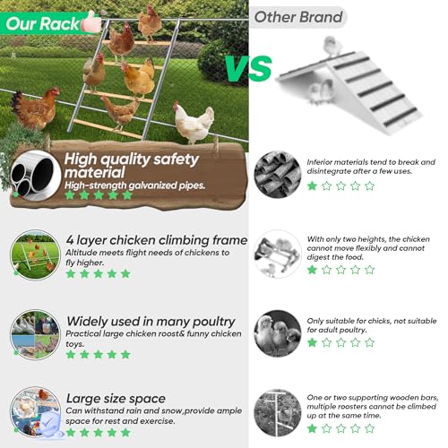 Chicken Perch for Coop, Sturdy Chicken Roosting Ladder, Easy Assembly, 32mm Diameter Galvanized Pipe and Wooden Material, Chicken Roost Essentials for Backyard Poultry (42.5" W x 55" H)