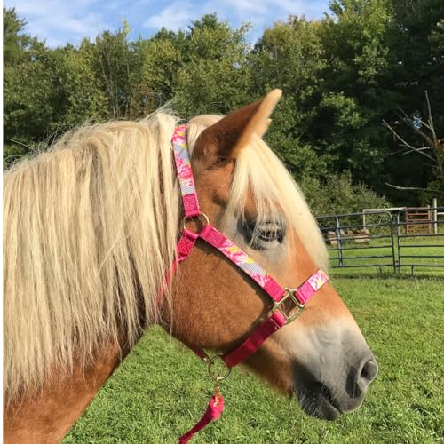 Tahoe Tack Patterned Nylon Adjustable Horse Halters with Padded Noseband and Matching 10’ Soft Grip Lead Rope with one Year Warranty - color: Grey Floral and Hot Pink