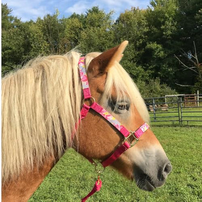 Tahoe Tack Patterned Nylon Adjustable Horse Halters with Padded Noseband and Matching 10’ Soft Grip Lead Rope with one Year Warranty - color: Grey Floral and Hot Pink