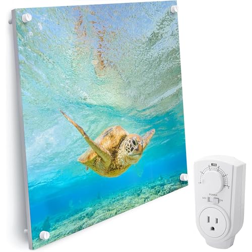 EconoHome Wall Mount Space Heater Panel - with Thermostat - 400 Watt Convection Heater - Ideal for 120 Sq Ft Room - 120V Electric Heater - Updated Model - color: Blue, size: 400W