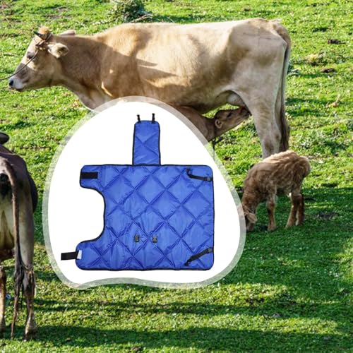 Calf Blanket for Cold Weather - Thickened Insulated Coat for Calves 35-90 kg (77-198 lbs) - Waterproof Oxford Material