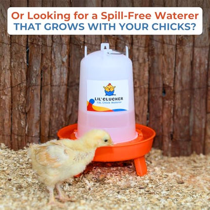 Lil'Clucker 1L Chick Feeder, 1.5L Chicken Waterer - No Leakage Chick Feeder and Waterer Kit, Hanging Baby Chick Waterer, Durable Chicken Water Feeder, Chicken Feeder and Waterer Set, Poultry Waterer - color: Orange