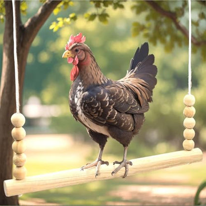 Chicken Swing Toy, Chicken Perch Natural Wooden Swing Toys Perch Ladder Coop Accessories