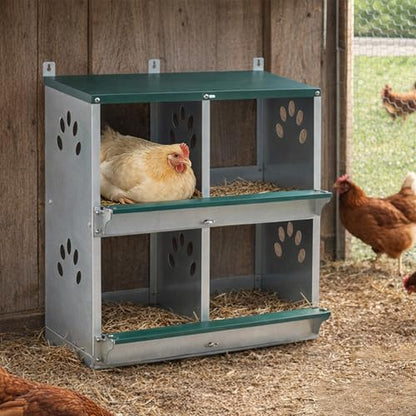 4 Compartments Metal Chicken Nesting Box,Wall Mounted Egg Box,Green,Rustproof and Easy to Clean
