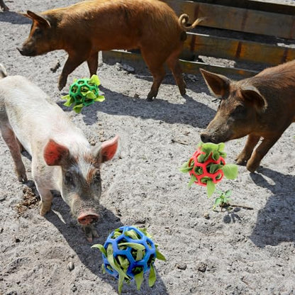 3PC Mini Pig Feeder Ball Toy Piggies Rabbit Feeding Grass Ball Treat Ball Toy Fruit Vegetable Feeder Holder Foraging Toy for Bunny Chinchilla Small Animals Pet (3 PC)