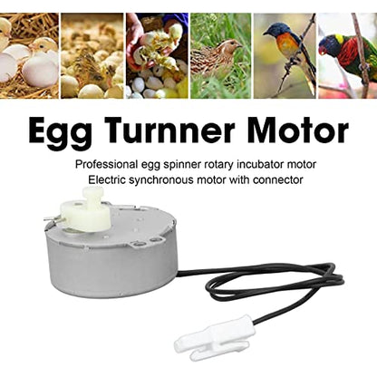 Egg Turnner Engine Replacement Egg Turner Motor 4W Turner Rotator Incubator for Chickens Ducks Goose Birds Egg (220-240v) - size: 220-240v