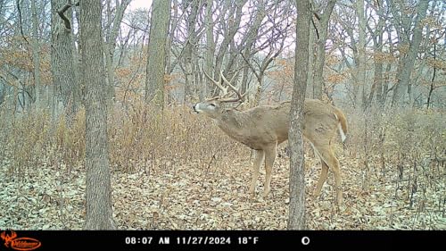 Wildgame Innovations WGI Insite-V 4-Pack Cellular Trail Camera 32 MP, 80ft Detection - size: 4-Pack