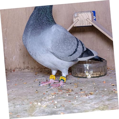 GANAZONO 50pcs Chicken Identification Anklets Digital Leg Bands for Hens Pigeons Ducks Geese