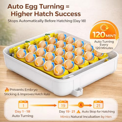 Egg Incubator for Hatching Eggs 30 Eggs, Chicken Incubator with Automatic Egg Turning, Temperature & Humidity Control, Egg Candler, Poultry Incubator for Chicken Quail