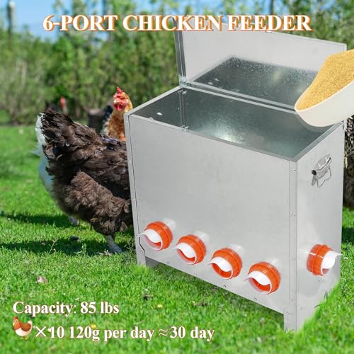 Automatic Chicken Feeder No Waste Large Capacity 85lbs 6-Ports Metal Poultry Feeder with Pull Handle for Chickens Geese Ducks Poultry Coop Weatherproof Design - color: 85lb with 6 Ports