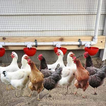 36PCS Chicken Waterer PVC Tee Fittings for Threaded Poultry Nipples Chicken Water Drinker and Feeder Cups, Fully Automatic Poultry Waterers