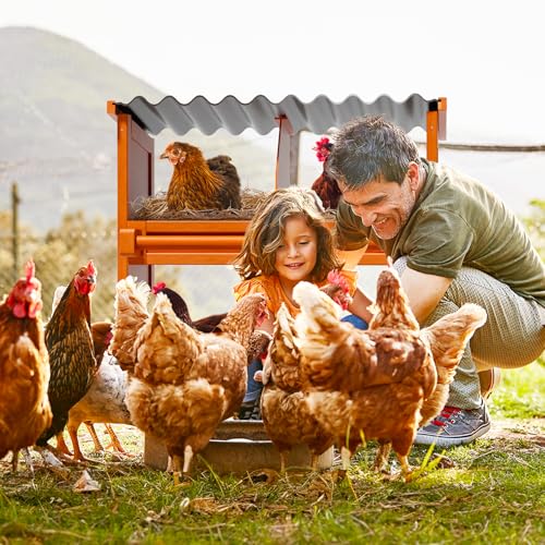 Chicken Nesting Boxes,4 Compartments Wooden Nesting Boxes for Chickens,Laying Nest Boxes for Hens Ducks Poultry Protect Eggs Chicken Coops Easy Egg Collection (4 BOXS) - size: 4 BOXS