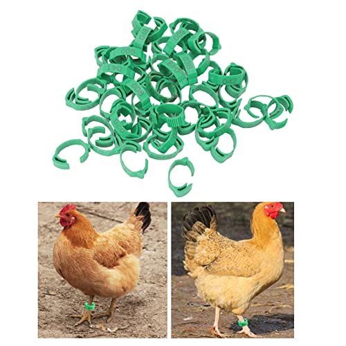 Bird Leg Rings 1-50 | Numbered Chicken Identification Bands for Bantam/Finch/Lovebird/Quail | Reusable Plastic Poultry Leg Bands | 6 - Slot Adjustable Design