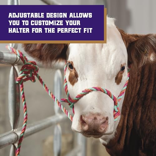Weaver Livestock Braided Poly Rope Cattle Halter, Adjustable Style Cow Calf Halter, Livestock Handling Equipment for Showing, Hot Pink/Coral/Mint