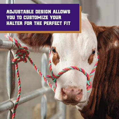 Weaver Livestock Braided Poly Rope Cattle Halter, Adjustable Style Cow Calf Halter, Livestock Handling Equipment for Showing, Hot Pink/Coral/Mint