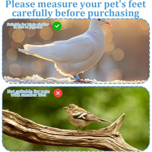100Pcs 8mm Clip-On Bird Leg Rings, Colored Numbered Identification Bands for Pigeon, Quail, Chick, Bantam and Small Birds