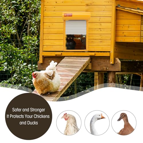 Automatic Chicken Coop Door, Solar Powered Timer Control with LED Display for Poultry Safety Duck Goose Farm, Metal Plastic Construction (Yellow) - color: Yellow