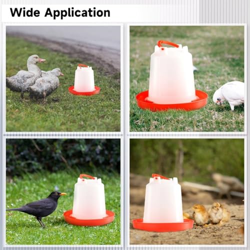 4-Pack Chick Waterer, 1L Poultry Water Feeder, Poultry Drinker with Handle, Chicken Water Dispenser，Chicken coop Water Feeder for Chickens, Turkeys, Ducks and More