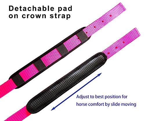 T TEKE Adjustable Horse Halters by Heavy Duty Soft Nylon, Padded with Anti-rubbing Waffle Neoprene on Both Crown & Nose - color: Black, size: Cob (M)