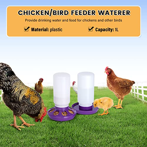 Chick Feeder and Waterer Set no Waste Chicken Water Dispenser 1L Chicken Water Feeder Poultry Waterer Baby Chick Duckling Supplies Starter Kit (Purple) - color: Purple