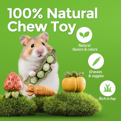 TEEWY 4PCS Guinea Pig Toys, Hamster Chew Toys, Natural Plant-Based Guinea Pig, Hamster, Rat & Chinchilla Toys for Teeth Grinding and Play - style: 4PCS-Fruit & Vegetable