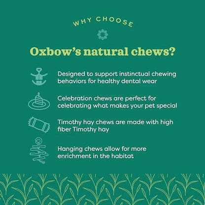 Oxbow Enriched Life Loco Ball, Rabbit Toys, Guinea Pig Toys, Enrichment for Bunny, Hamster, Rabbit, Chinchilla, Rat, Chinchilla Cage Accessories, Guinea Pig Accessories for Cage - size: 1 Count (Pack of 1)