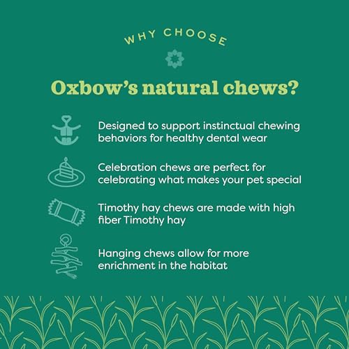Oxbow Enriched Life Twisty Rings, Rabbit & Guinea Pig Toy, Hamster, Chinchilla & Rat Chew Rings, Small Pet Enrichment & Cage Accessory, Safe Natural Chew, Bunny Boredom Breaker, Enrichment Play Toy - size: 1 Count (Pack of 1)