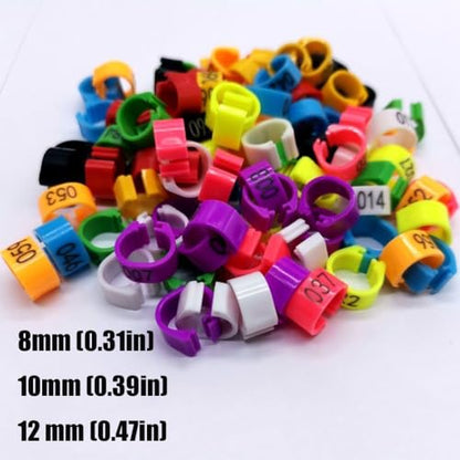 100pcs Foot Bands - 8/10/12mm Poultry Leg Straps, 10 Colors, No. 001-500 Poultry Leg Straps for Chicken, Duck, Pigeon 8mm (0.31in) 201-300 - color: 8mm (0.31in)201-300