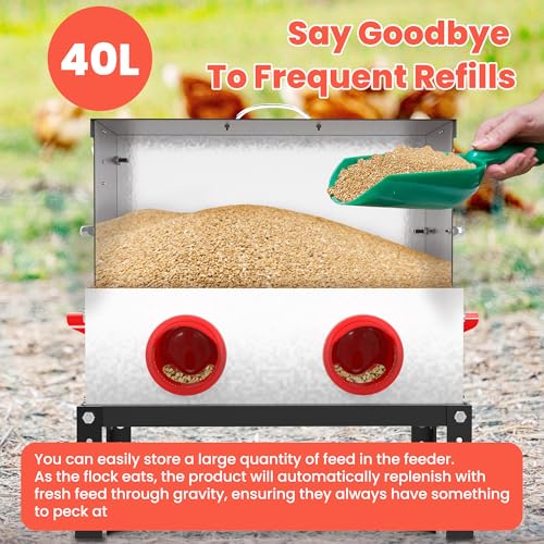 40 lb Metal Chicken Feeder with Adjustable Height Stand - Automatic Gravity Poultry Feeder No Waste - Rat Proof Galvanized Large Chicken Feed Container for Outdoor Chickens Ducks & Geese