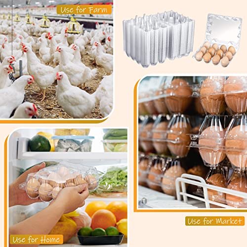 Zubebe 200 Pieces Clear Plastic Egg Carton - Bulk Empty Chicken Tray Holds Securely for Farm Business Market Home Refrigerator Storage (3 x 4 Grids) - size: 3 x 4 Grids