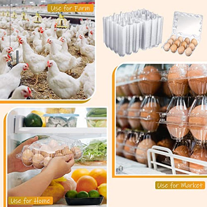 Zubebe 200 Pieces Clear Plastic Egg Carton - Bulk Empty Chicken Tray Holds Securely for Farm Business Market Home Refrigerator Storage (3 x 4 Grids) - size: 3 x 4 Grids
