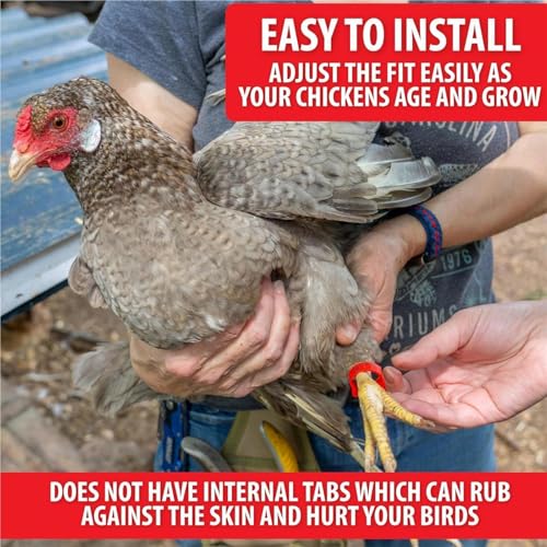 150pcs Adjustable Chick Leg Bands Ducks Bracelet Multicolor Numbered Poultry Foot Rings for Chicks Geese Pigeon Outdoor for Easy Flock Management
