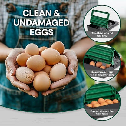 Homestead Essentials Classic Style 2 Compartment, Forward Rollout and Rollaway, Hen & Chicken Nesting Box with Integrated Perch and Protective Egg Laying Collection Lids - size: 2 Compartment