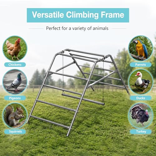 Large Chicken Perch for Coop, Roosting Bar for Hen Stand,Funny Chicken Toy for Chicken Coop Accessories