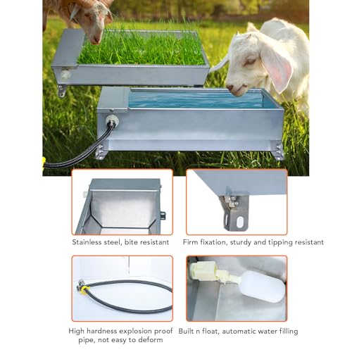 Automatic Water Trough, 19.69 x 8.27 Inch Stainless Steel Livestock Drinking Bowl, Large Capacity Self Filling Feeder for Chickens Ducks Cows Sheep